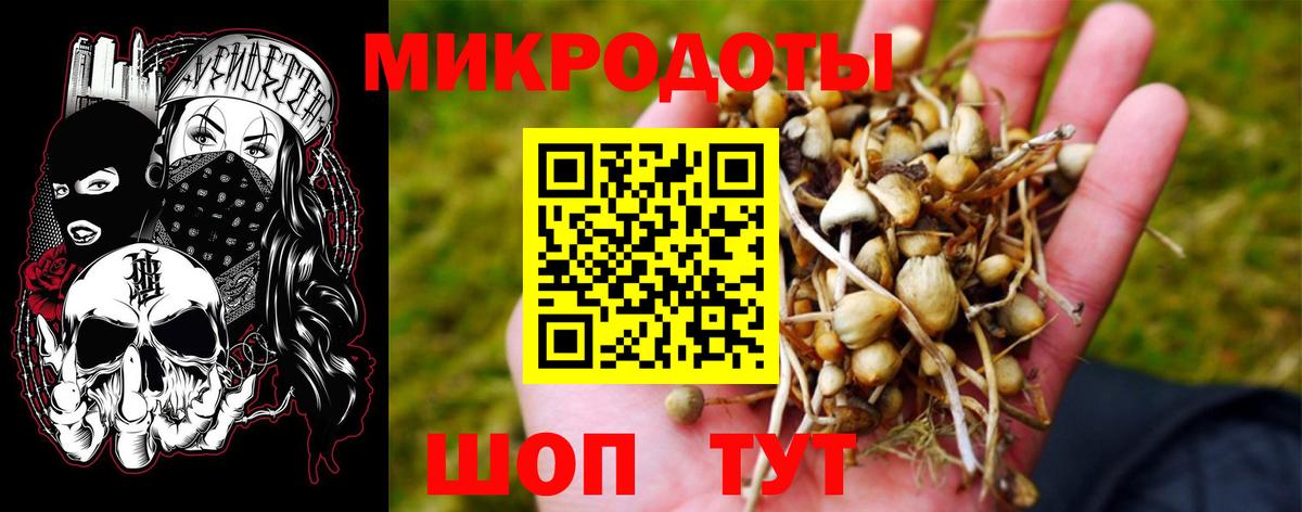 Бор  Псилоцибиновые грибы GOLDEN TEACHER  Вход с VPN 